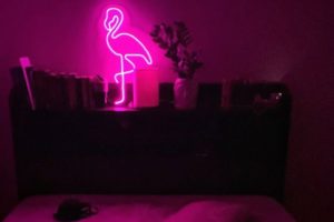 Increasing Demand of Fancelite’s Neon Light Signs this Diwali